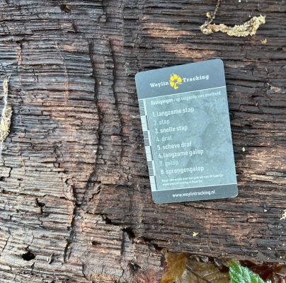 A - Ambiguously determined, we are not sure