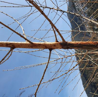 A - nejednoznačne určen&yacute;, nie sme si ist&iacute;