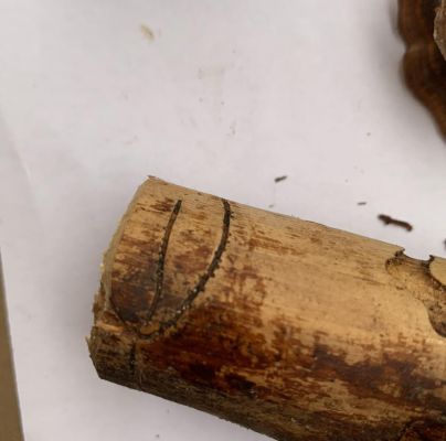 A - nie je v datab&aacute;ze