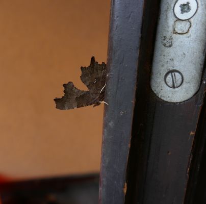 A - nie je v datab&aacute;ze