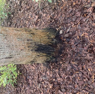 A - nejednoznačne určen&yacute;, nie sme si ist&iacute;