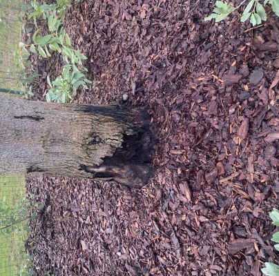 A - nejednoznačne určen&yacute;, nie sme si ist&iacute;