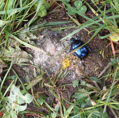 A - nie je v datab&aacute;ze