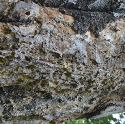 A - nejednoznačne určen&yacute;, nie sme si ist&iacute;