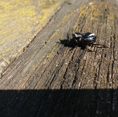 A - nie je v datab&aacute;ze