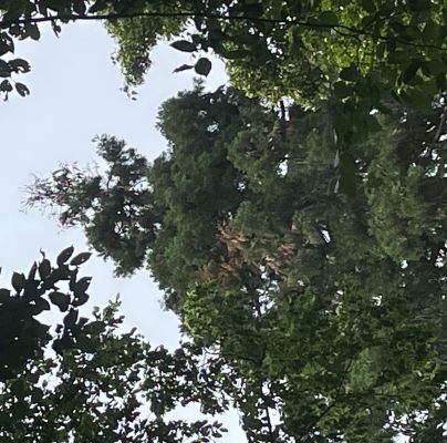 A - nie je v datab&aacute;ze