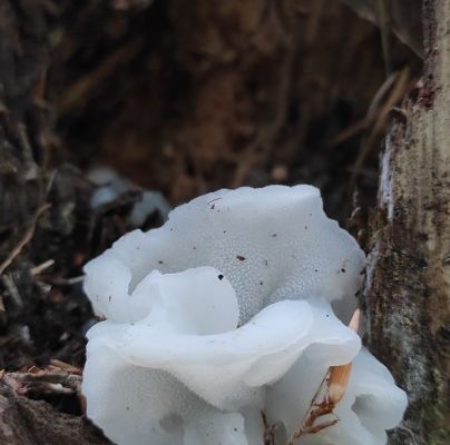 A - nie je v datab&aacute;ze