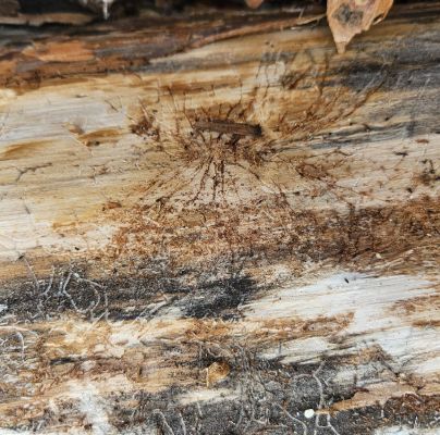 A - nie je v datab&aacute;ze