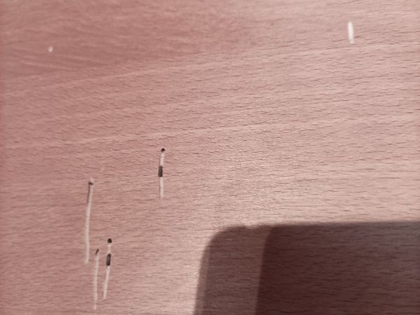 Fan-bearing wood-borer