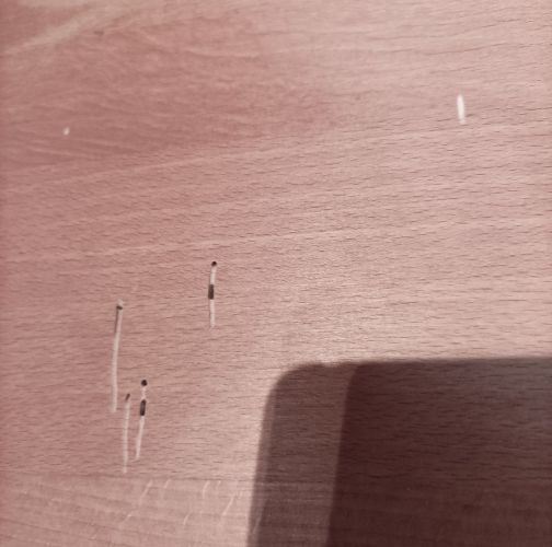 Gertrúda Konárková 