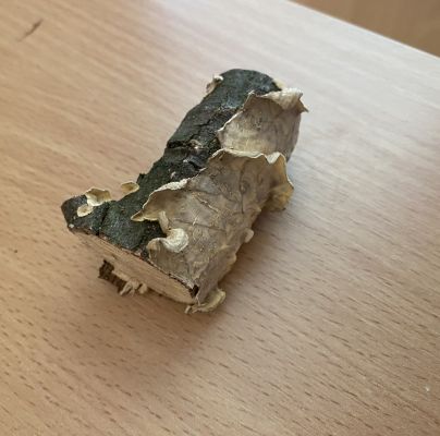 A - nejednoznačne určen&yacute;, nie sme si ist&iacute;