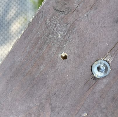 A - nejednoznačne určen&yacute;, nie sme si ist&iacute;