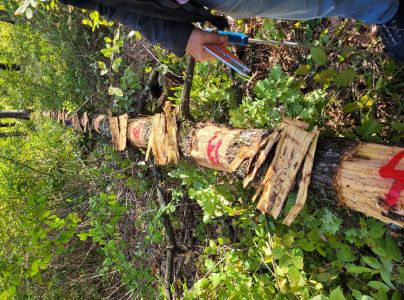 A - nejednoznačne určen&yacute;, nie sme si ist&iacute;