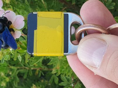 Drev&aacute;r fialov&yacute;