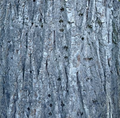 A - nejednoznačne určen&yacute;, nie sme si ist&iacute;