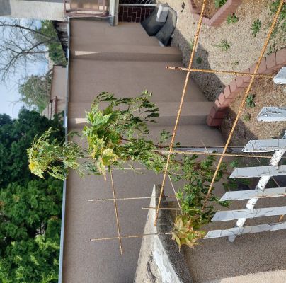 A - nejednoznačne určen&yacute;, nie sme si ist&iacute;