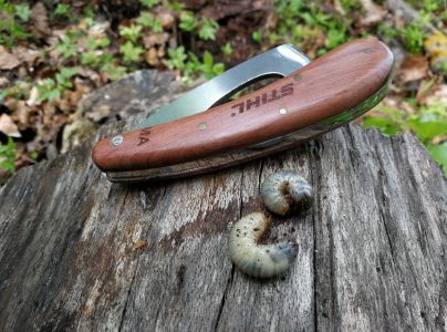 Roh&aacute;č obyčajn&yacute; 