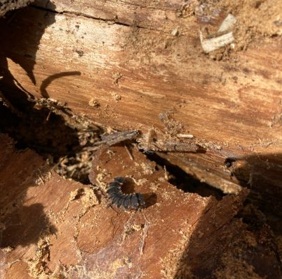 A - nie je v datab&aacute;ze