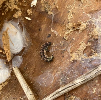 A - nie je v datab&aacute;ze