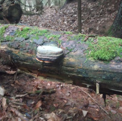 A - nie je v datab&aacute;ze