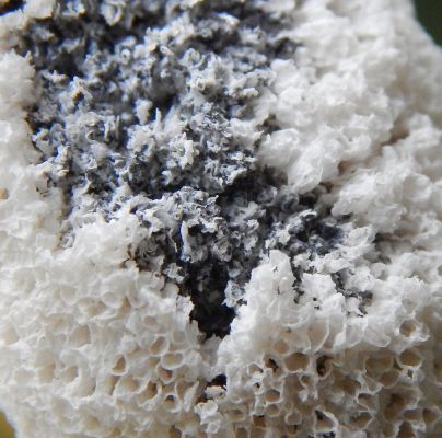 A - nejednoznačne určen&yacute;, nie sme si ist&iacute;