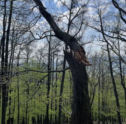 A - nie je v datab&aacute;ze