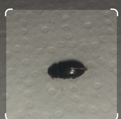 A - nie je v datab&aacute;ze