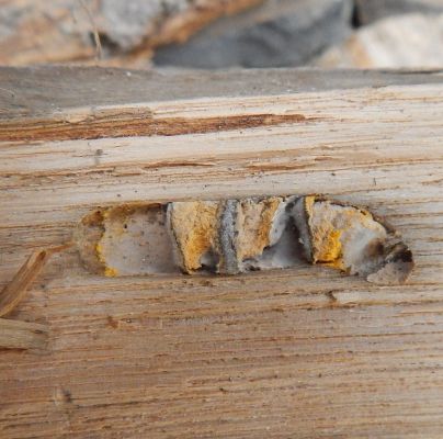 A - nejednoznačne určen&yacute;, nie sme si ist&iacute;