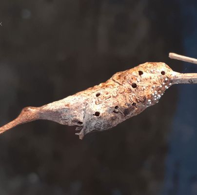 A - nie je v datab&aacute;ze