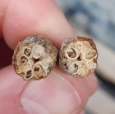 A - nie je v datab&aacute;ze