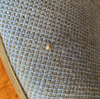 A - nejednoznačne určen&yacute;, nie sme si ist&iacute;