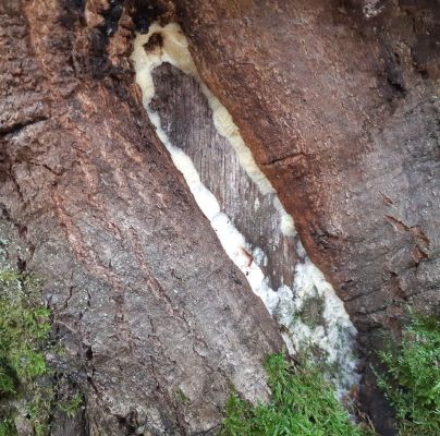 A - nie je v datab&aacute;ze