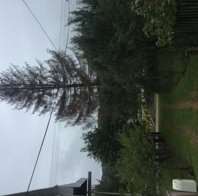 A - nejednoznačne určen&yacute;, nie sme si ist&iacute;