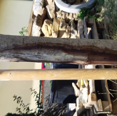 A - nejednoznačne určen&yacute;, nie sme si ist&iacute;