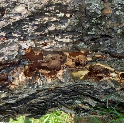 A - nie je v datab&aacute;ze