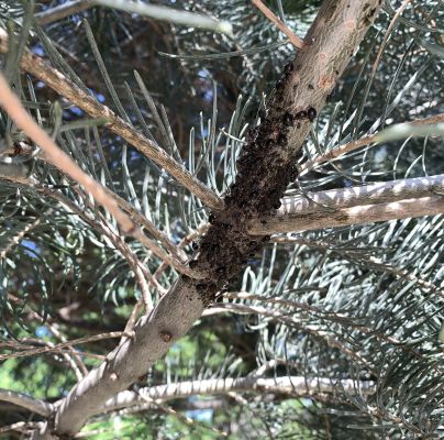 A - nie je v datab&aacute;ze