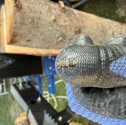 A - nie je v datab&aacute;ze