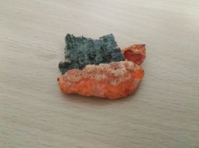 Červenica rumelkov&aacute;