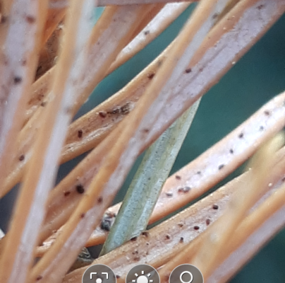 A - nejednoznačne určen&yacute;, nie sme si ist&iacute;