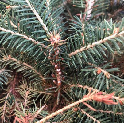 A - nejednoznačne určen&yacute;, nie sme si ist&iacute;