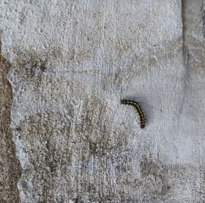 A - nie je v datab&aacute;ze