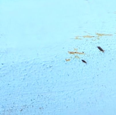 A - nejednoznačne určen&yacute;, nie sme si ist&iacute;