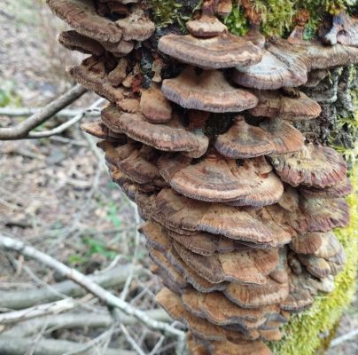 A - nie je v datab&aacute;ze