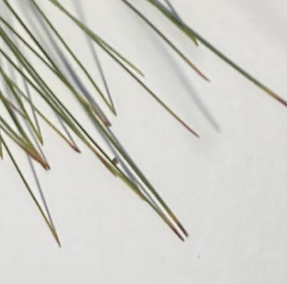 A - nie je v datab&aacute;ze