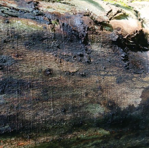 Lukáš Nitschneider 