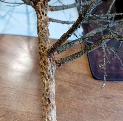 A - nejednoznačne určen&yacute;, nie sme si ist&iacute;