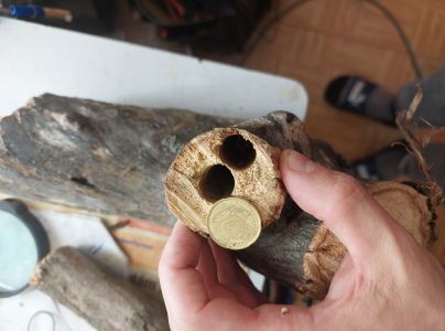 Drev&aacute;r fialov&yacute;