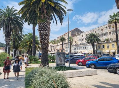 Nos&aacute;nik palmov&yacute;