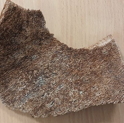 A - nejednoznačne určen&yacute;, nie sme si ist&iacute;