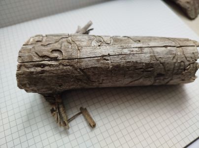 A - Ambiguously determined, we are not sure